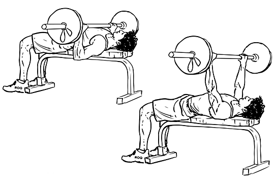 Flat Bench Press Flat Bench Press